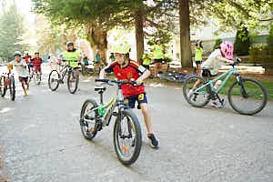 260715173103_LAI0532