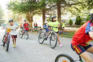 260715173104_LAI0534