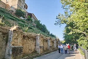 260901094955_FGF5244