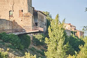260901102349_DSC0351