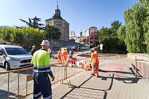 260901103206_LAI3161
