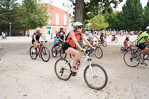 260815120813_LAI1283