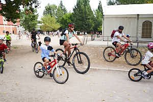 260815120837_LAI1292