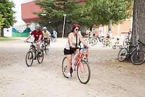 260815120849_LAI1296