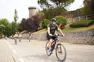 260815121316_LAI1320
