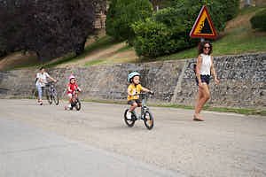 260815121349_LAI1333