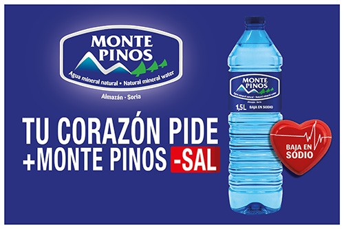 Patrocinador Principal