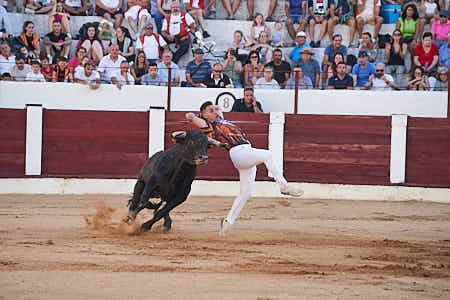 Gente participando en diversas actividades de fiestas populares