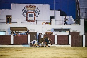 260903211553_DSC0927
