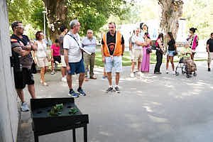 260907112959_FGF1476