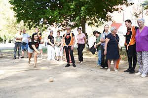 260907113343_FGF1495