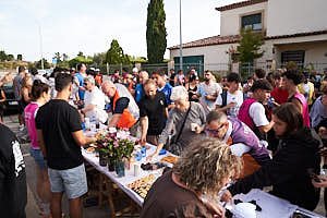 260905094220_FGF8374