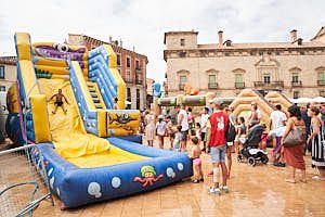 260905122740_FGF8621
