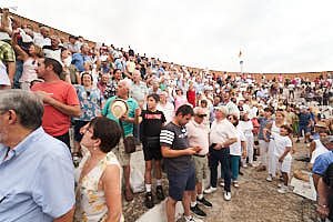 260905194050_LAI3357