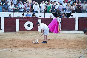 260905202708_DSC2039