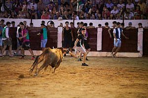 260905210220_DSC2072