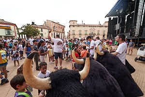 260904194245_DSC1310