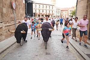 260904195538_FGF8020