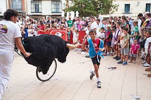 260904200636_FGF8059