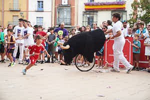 260904200720_FGF8061