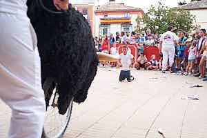260904200744_FGF8062