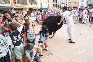 260904200809_FGF8064