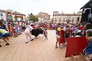 260904201402_DSC1332
