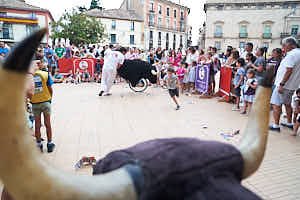 260904201538_FGF8087