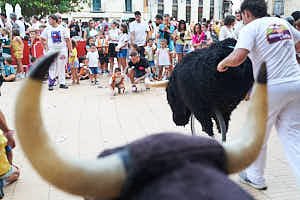 260904201749_FGF8095