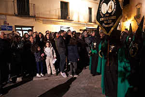 260403205608_FGF2011