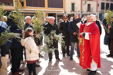 Procesión de la Borriquilla del Domingo de Ramos en Almazán